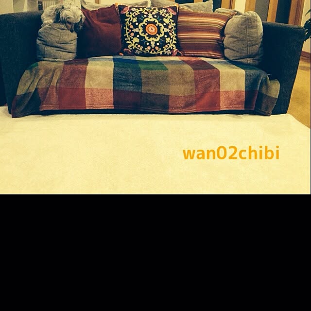 wan02chibiさんの実例写真