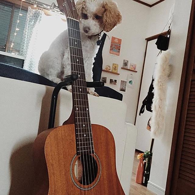 momoさんの実例写真