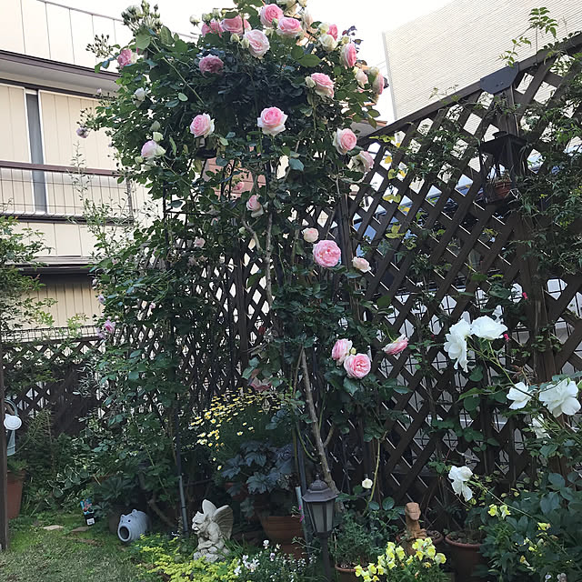gin_mamaさんの実例写真