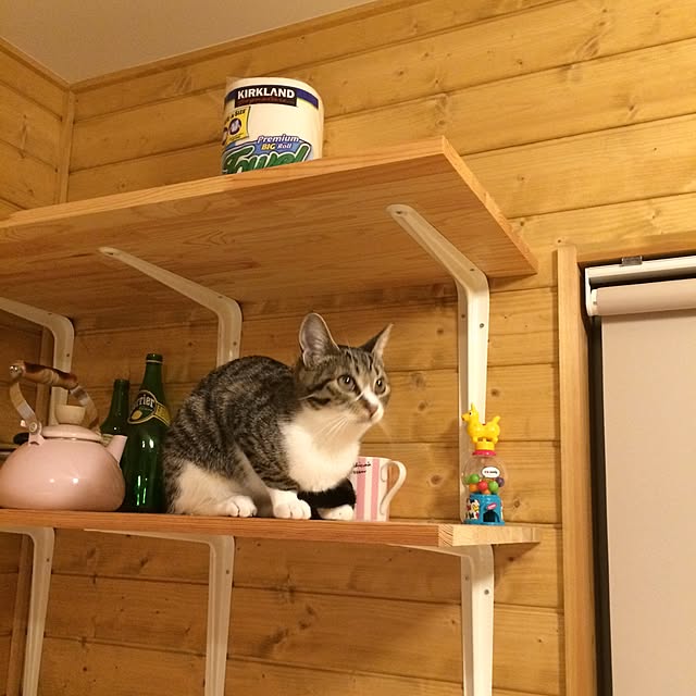 takammyさんの実例写真