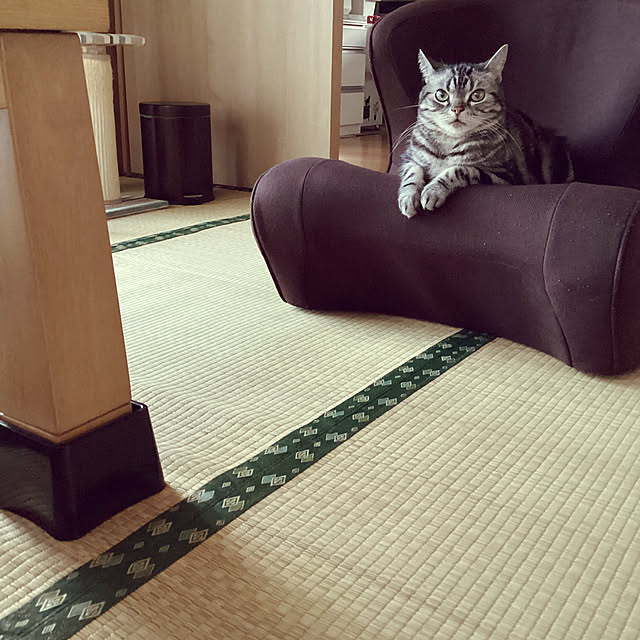 richanさんの実例写真