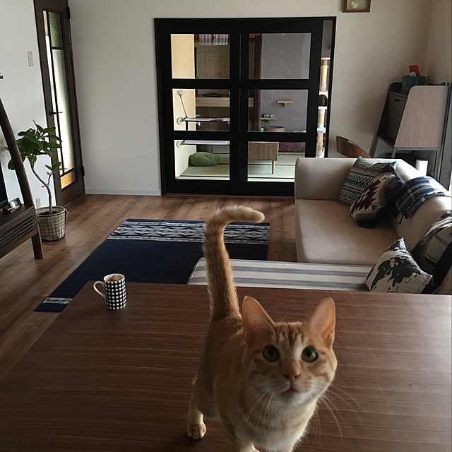 Yukinekoさんの実例写真