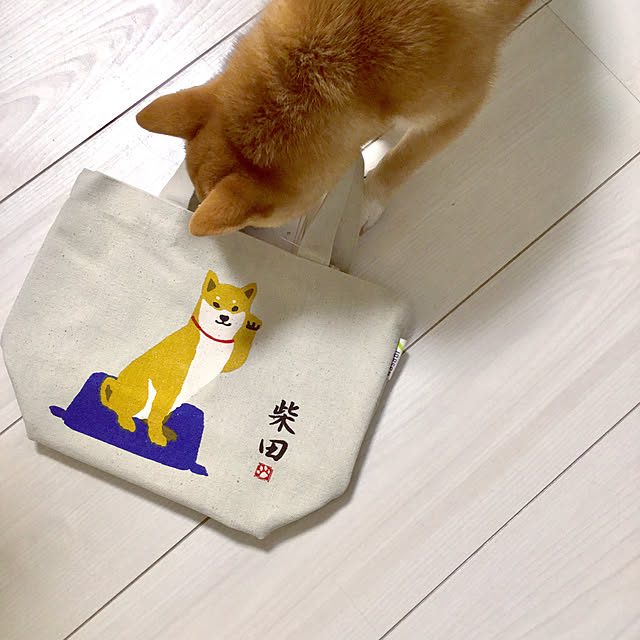 suzyさんの実例写真