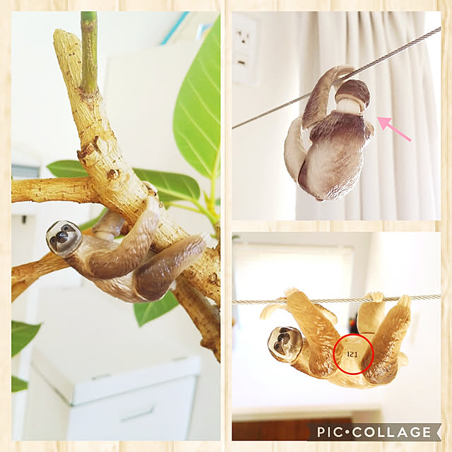 Haさんの実例写真