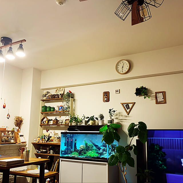 観葉植物/カフェ風/部屋全体のインテリア実例 - 2020-12-06 00:32:33