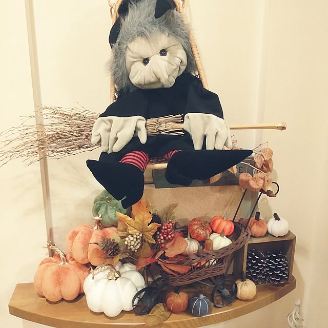 Hujikoさんの実例写真