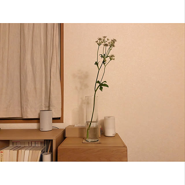 ht6030さんの実例写真