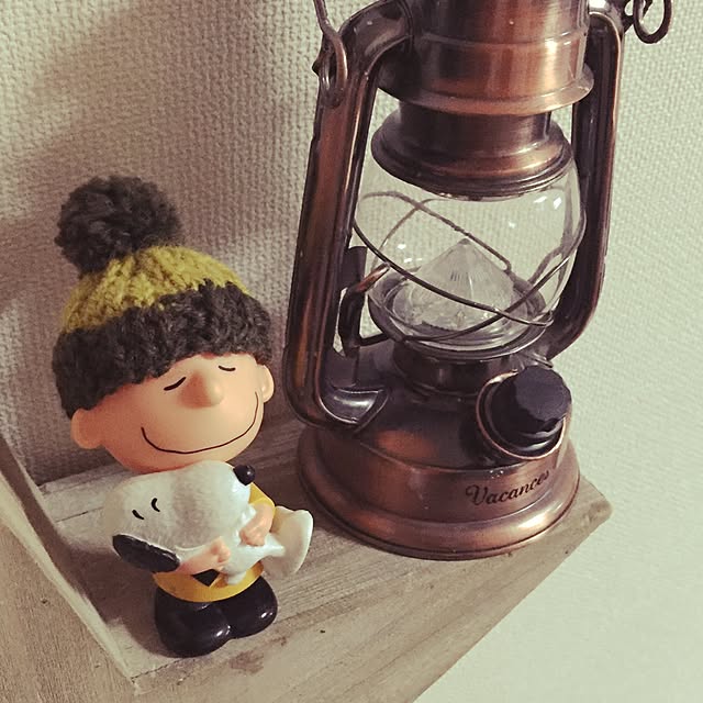 yo-chinさんの実例写真