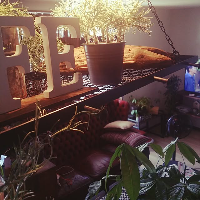 shinji19730515さんの実例写真