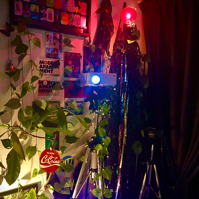 zacさんの実例写真