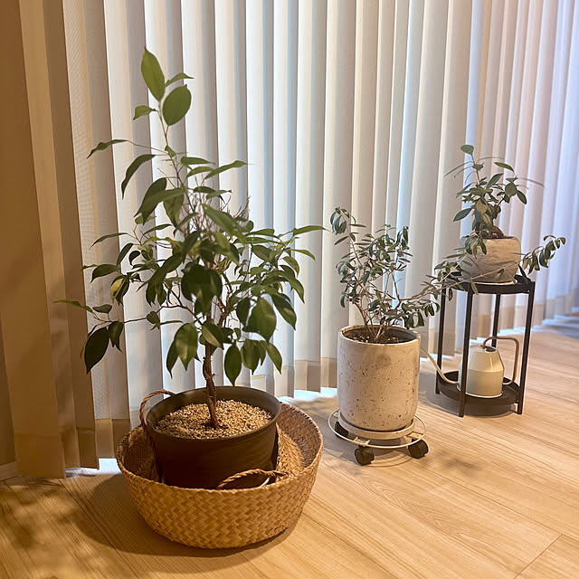 N.Homeさんの実例写真