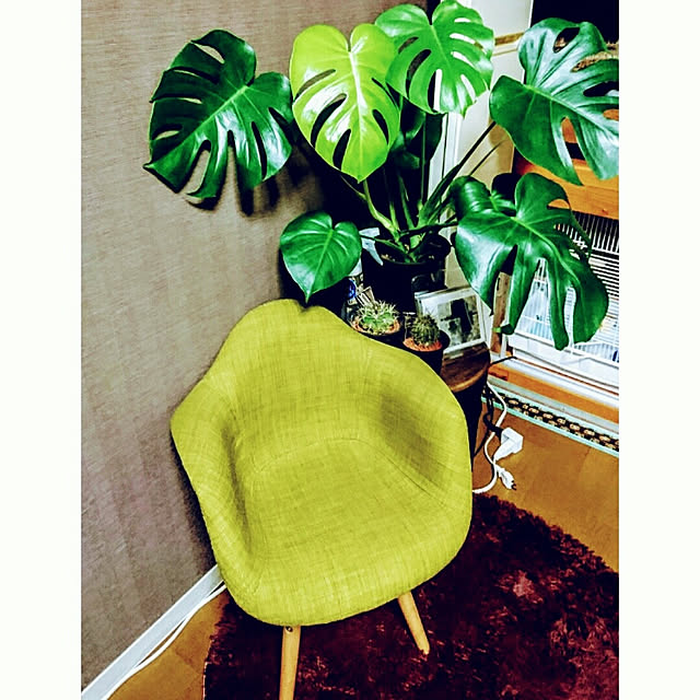 s.p.sunaoさんの実例写真