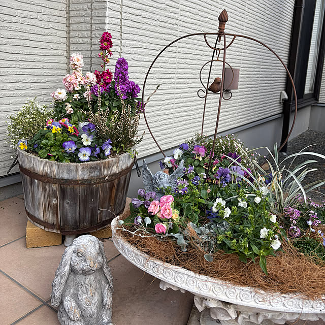 ayomoyuさんの実例写真
