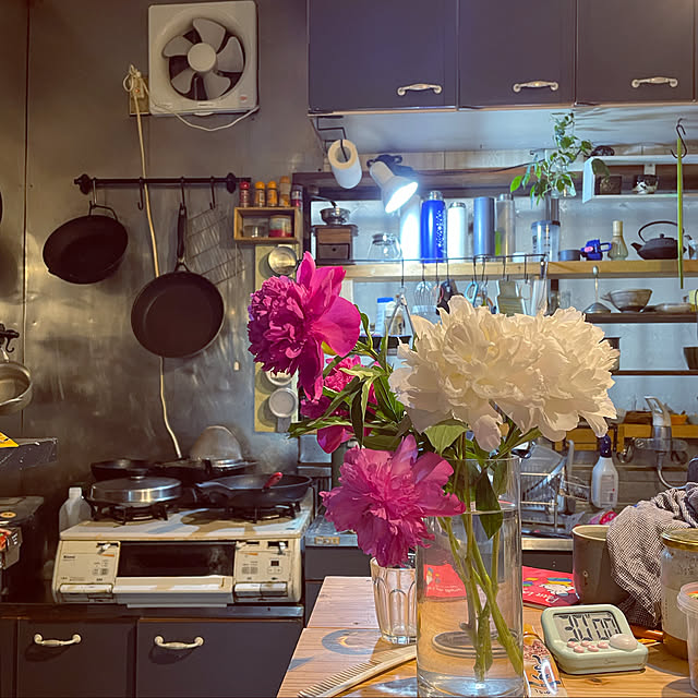 観葉植物/DIY/キッチンのインテリア実例 - 2022-05-09 08:05:10