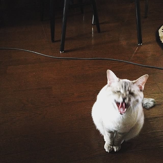 Naoki.さんの実例写真