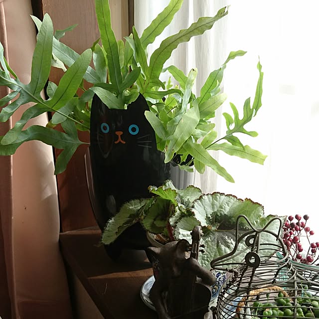 uuu22uさんの実例写真