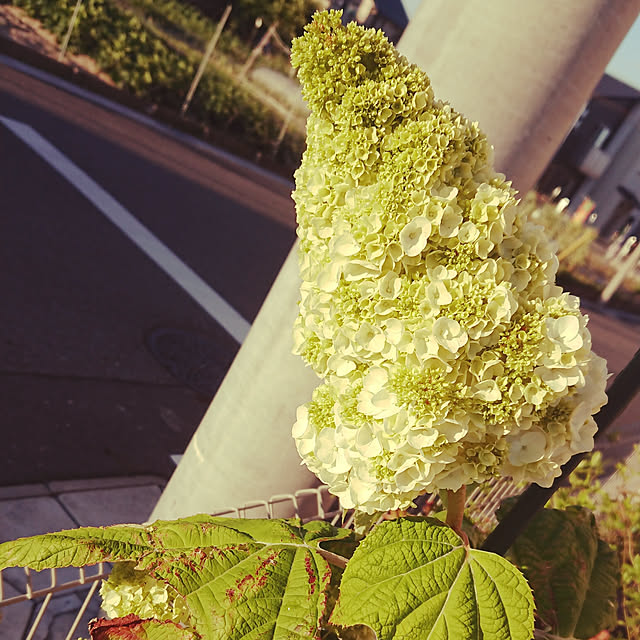 xxxakyxxxさんの実例写真