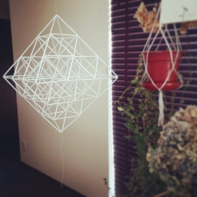壁/天井/植物/ドライフラワー/紫陽花ドライ/プラントハンガー*...などのインテリア実例 - 2016-04-13 10:46:29