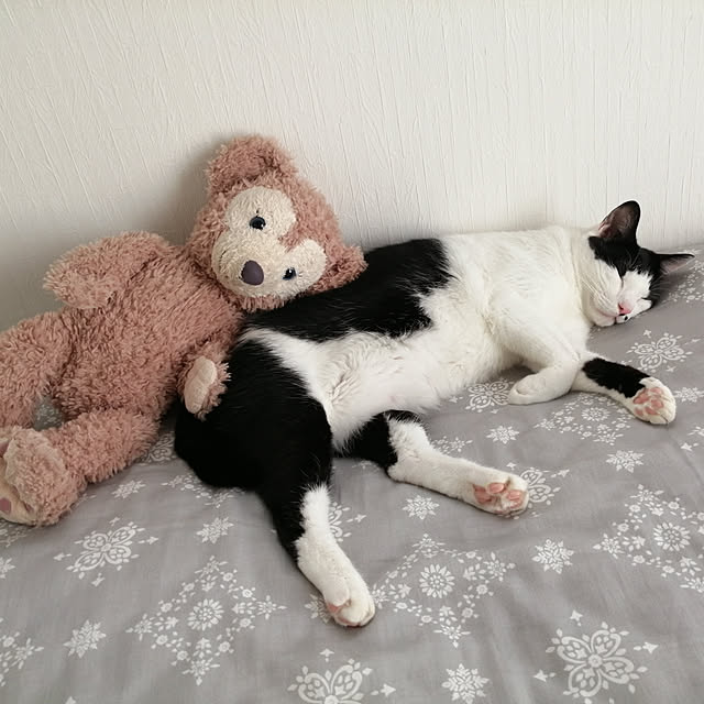 nekoさんの実例写真