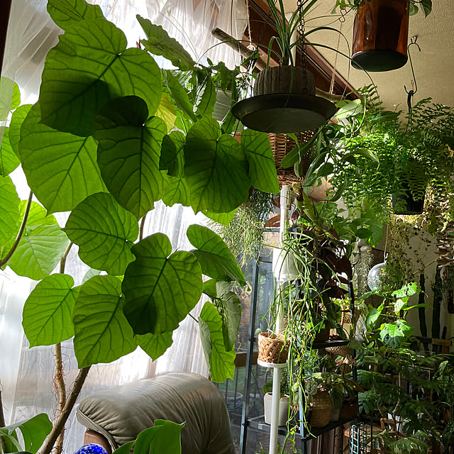 ganchan_0910さんの部屋