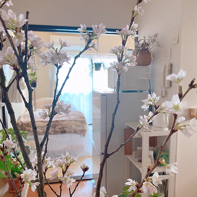 smallroomさんの実例写真