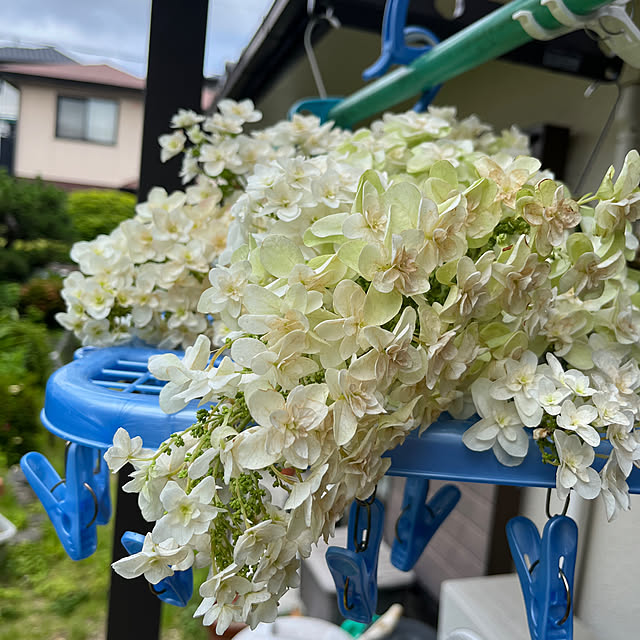 miyakoさんの実例写真