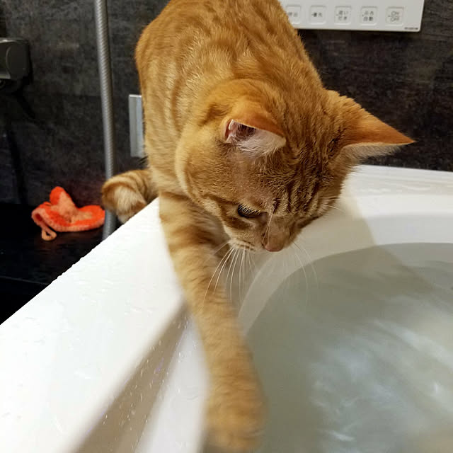 C.Tさんの実例写真