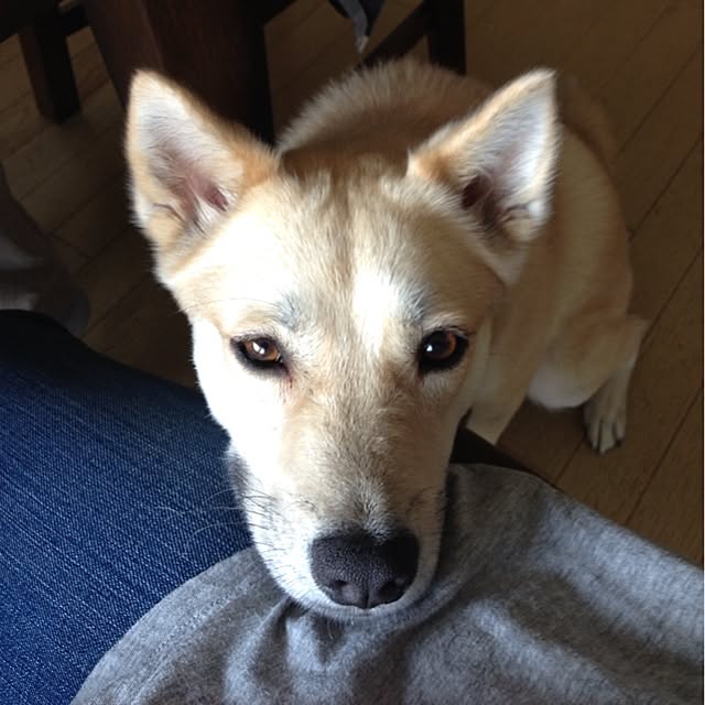 leonaさんの実例写真