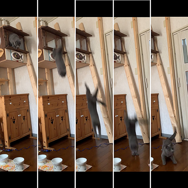 masaさんの実例写真
