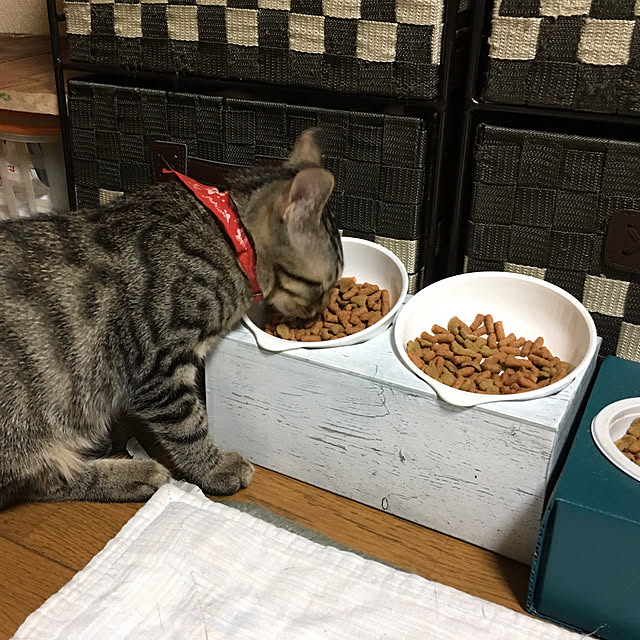 kmakkyiさんの実例写真