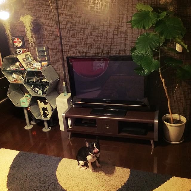 87さんの実例写真