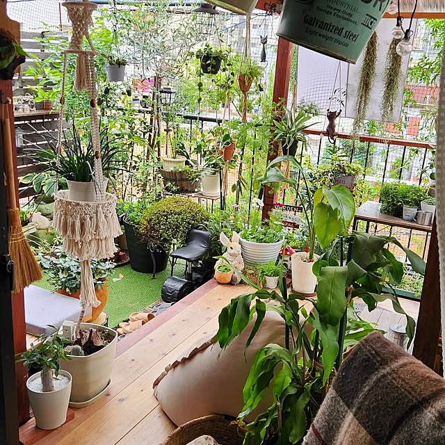 mikamaiさんの部屋