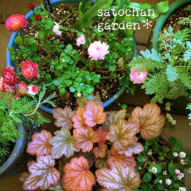 satochanさんの実例写真
