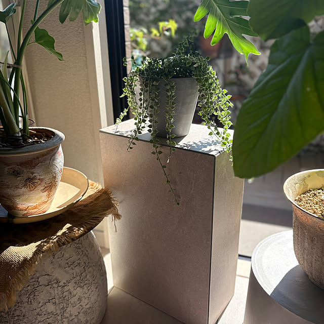 momo_sanさんの部屋