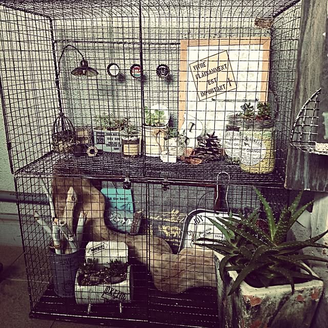 okameさんの実例写真