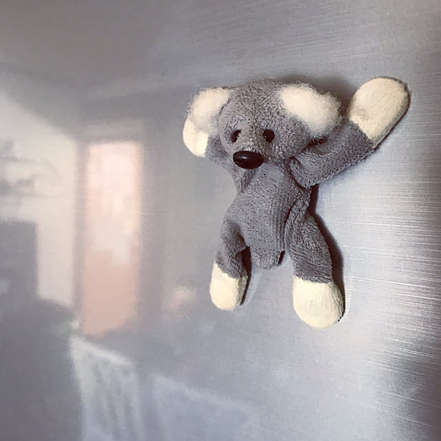 kariruさんの実例写真