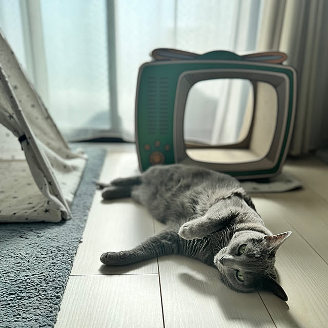 snoopyさんの部屋