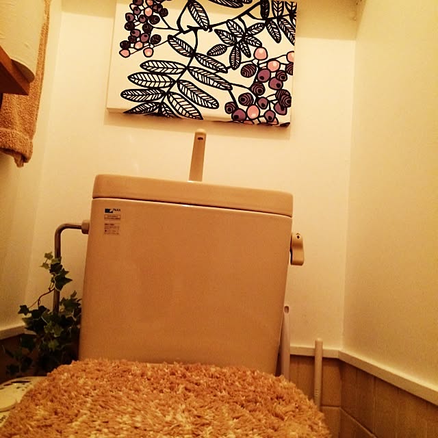 Miekoさんの実例写真