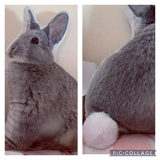 Tukiyomiさんの実例写真