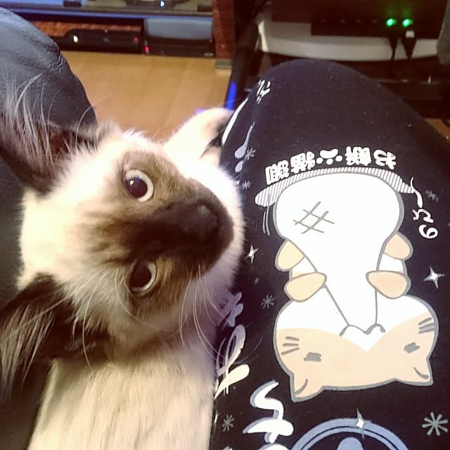 House20さんの実例写真