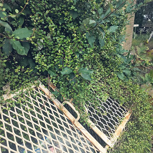 atygrmさんの実例写真