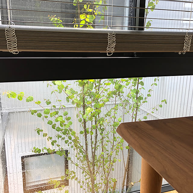 Ichiさんの実例写真