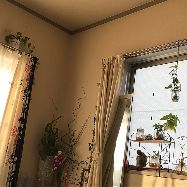 mikaさんの実例写真