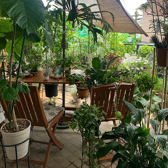 Aqettyさんの部屋