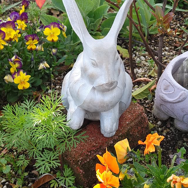 salacocoさんの実例写真