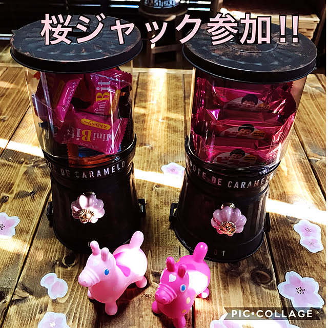 zurinさんの実例写真