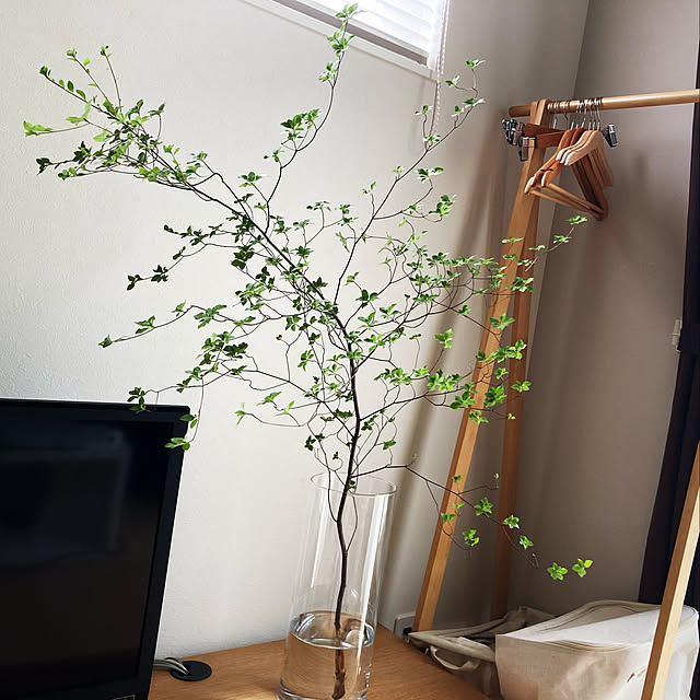 55cocoさんの実例写真