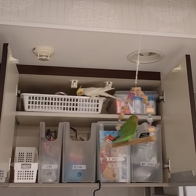 toratanさんの実例写真