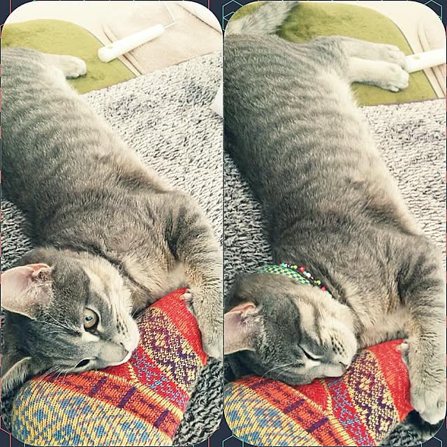 oyumiさんの実例写真