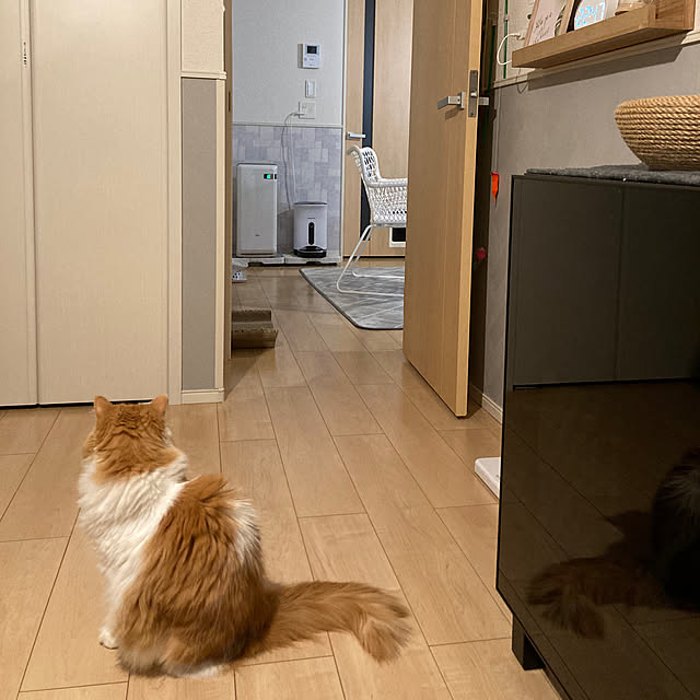 H.Tさんの実例写真